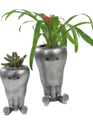 Evene Saksı Çiçek Kaktüs Saksısı Lüx 13,5 cm Havuç Desenli 2'li Set Çiçeklik