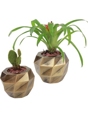 Evene Saksı Çiçek Kaktüs Saksısı Lüx 15 cm Boyalı Burgulu Desen Saksı 2li Set Çiçeklik