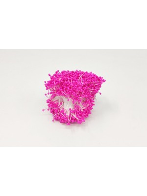 Klasik Plastik Tohum 20'li Bağ - Fuşya