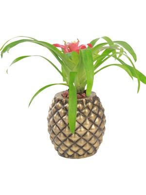 Evene Saksı Çiçek Kaktüs Saksısı Lüx 15 cm Ananas Desen Saksı Çiçeklik