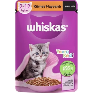 Pouch Yavru Kümes Hayvanlı Kedi Maması 28 x 85 G
