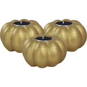 Stein Kohle Şamdan Dekoratif Mumluk Şamdan Tealight ve Uzun Mum Uyumlu Kabak Model