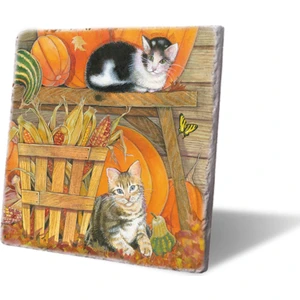 Lwp Shop Sonbahar Kedileri Nihale