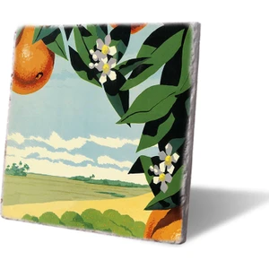 Lwp Shop Summer In Orange Garden Tasarım Nihale