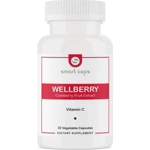 Wellberry Cranberry Fruit Extract 30 Kapsül