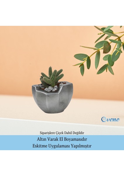 Saksı Çiçek Kaktüs Saksısı Lüx 15 cm Önü Açık Desenli 3'lü Set Çiçeklik