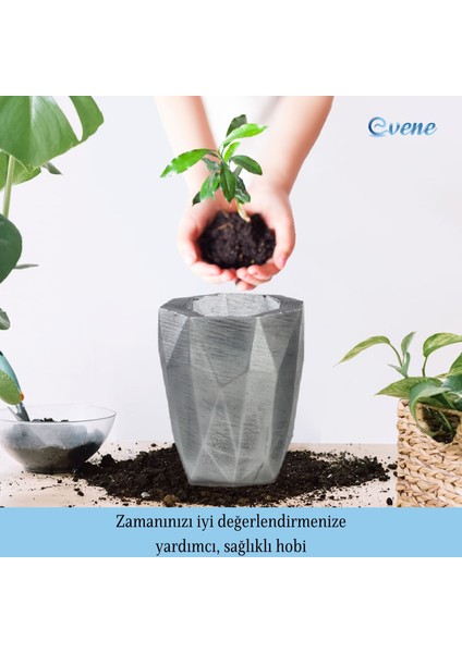 Saksı Çiçek Kaktüs Saksısı Lüx 15 cm Uzun Poly Desenli 3'lü Set Çiçeklik