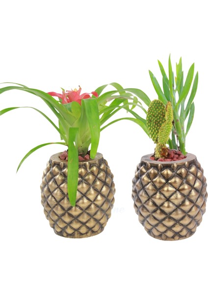 Saksı Çiçek Kaktüs Saksısı Lüx 15 cm Ananas Desenli 2'li Set Çiçeklik