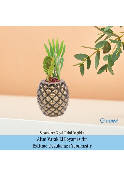Saksı Çiçek Kaktüs Saksısı Lüx 15 cm Ananas Desenli 2'li Set Çiçeklik