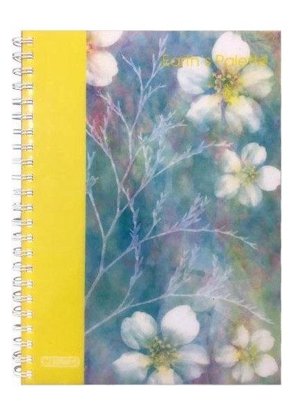 Earth's Palette A4 Pp Kapak Spiralli Defter 160 Yp. Kareli - 3 Adet