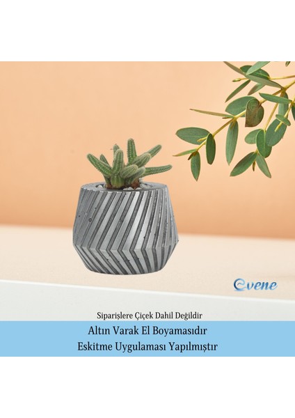 Saksı Çiçek Kaktüs Saksısı Lüx 15 cm Mekanik Dişli Desen Saksı 2li Çiçeklik indirimleri