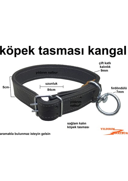 Köpek Kangal Tasması Kalın Hayvan Tasması Halkalı Köpek Zinciri fiyatları