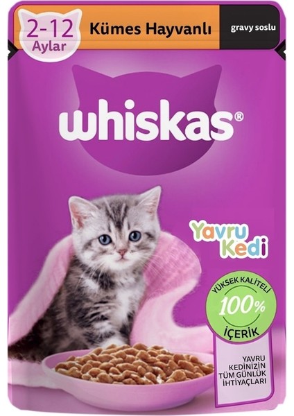 Pouch Yavru Kümes Hayvanlı Kedi Maması 28 x 85 G