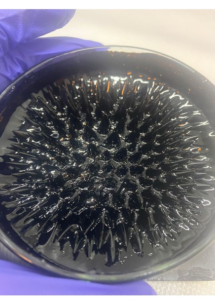 Manyetik Sıvı Ferrofluid, Bilim Projeleri Için Ideal, Oyuncak, Stres Giderici