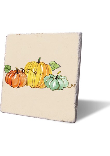 Natürmort Kabaklar Nihale