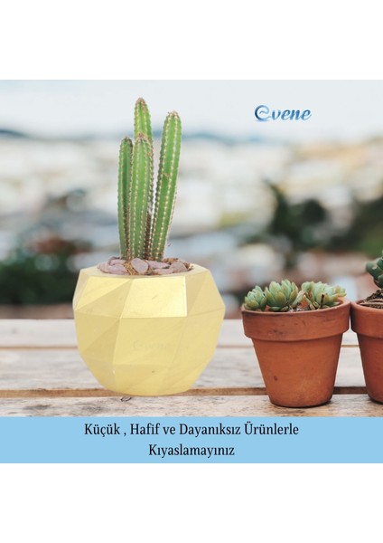 Saksı Çiçek Kaktüs Saksısı Lüx 15 cm Burgulu Desen Saksı Çiçeklik