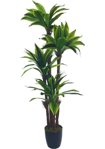 Yapay Ağaç Yukka Sarı Şeritli 4katlı 150CM Salon Çiçeği Yapay Çiçek