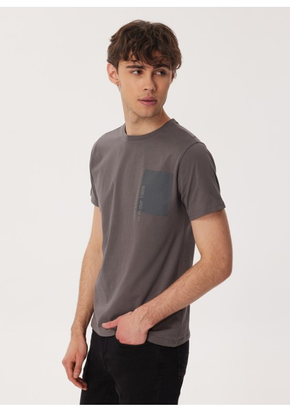 Bisiklet Yaka Gri Erkek T-Shirt 232 Lcm 242004 Moby Gri modelleri