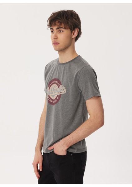 Bisiklet Yaka Antrasit Erkek T-Shirt 232 Lcm 242019 Authen Antrasit