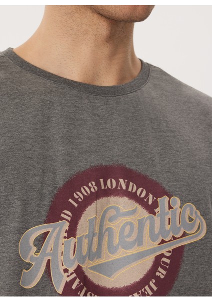 Bisiklet Yaka Antrasit Erkek T-Shirt 232 Lcm 242019 Authen Antrasit