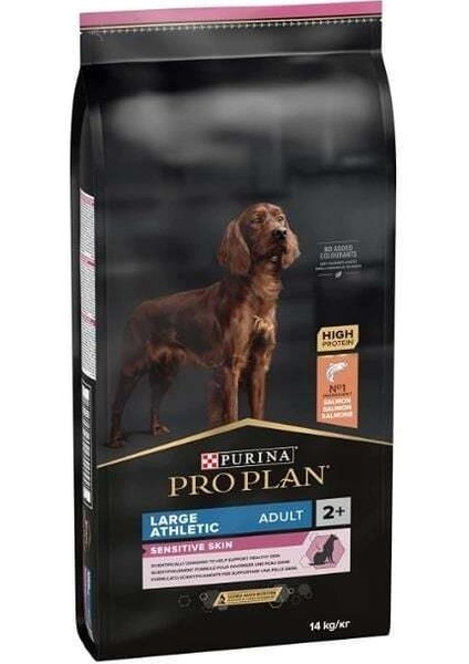 Adult Large Athlethic Somonlu Yetişkin Köpek Maması 14 kg