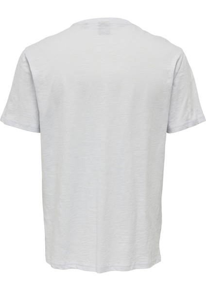 O Yaka Baskılı Mavi Erkek T-Shirt 22025677_ONSTROY Reg Ss Tee fiyatları