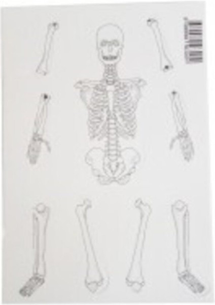 Iş Eğitimi ve Deney Malzemeleri Iskelet