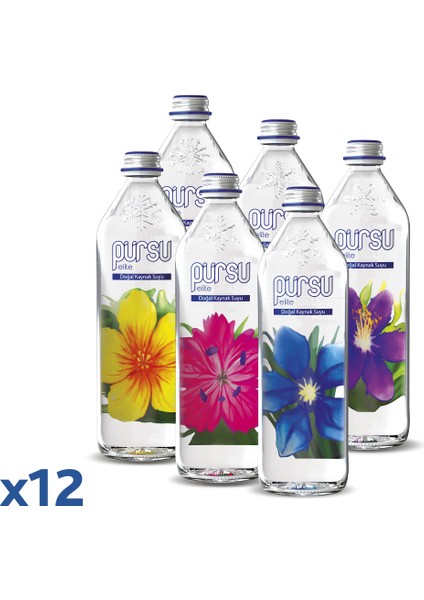 750 ml x 12 Adet