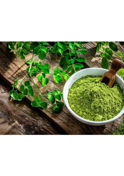 Moringa Tozu 100 gr