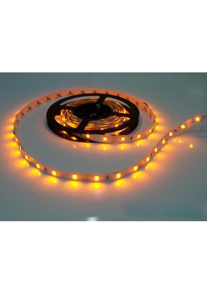 LED Dekoratif Şerit 2835 12V Beyaz / / Mavi / Kırmızı / Yeşil / Sıcak Beyaz Sarı (Yurt Dışından) fiyatları