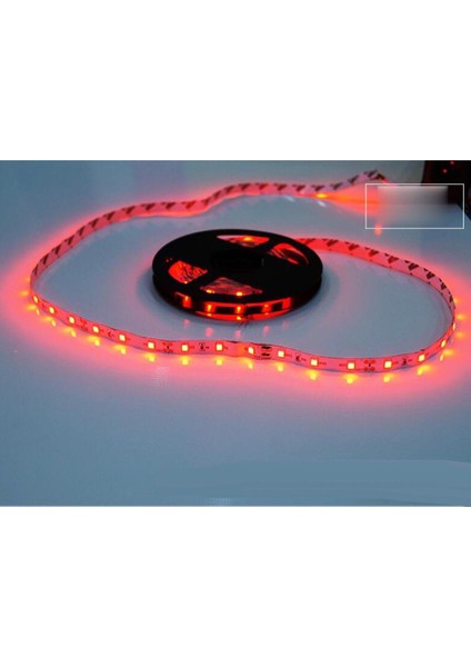 LED Dekoratif Şerit 2835 12V Beyaz / Sarı / Mavi / / Yeşil / Sıcak Beyaz Kırmızı (Yurt Dışından) fırsatları