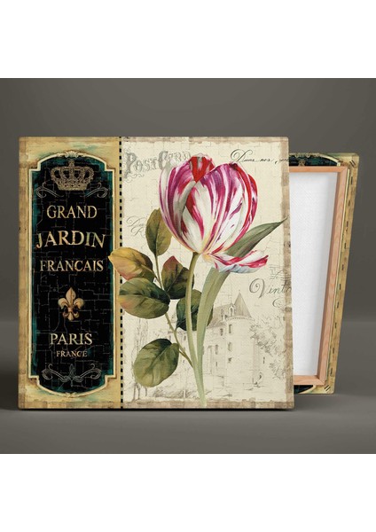 Pembe ve Beyaz Alacalı Lale Vintage Grand Jardin Dekoratif Üçlü Kombin 3lü Set Kanvas Tablo fiyatları