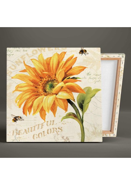 Ayçiçeği Günebakan Büyük Çiçek Arılar Vintage Dekoratif Ikili Kombin 2li Kanvas Tablo modelleri