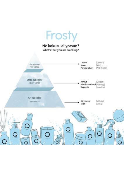 Frosty Çubuklu Oda ve Araba Parfüm Yedek Dolum Şişe 150 ml