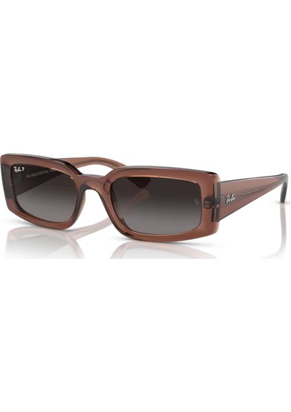 Rayban 4395 6678/T3 54