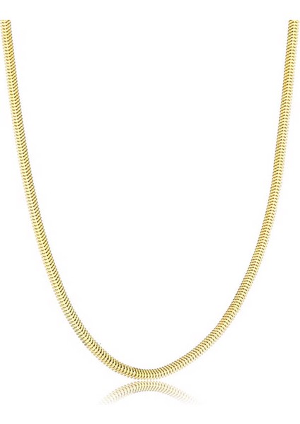 14 Ayar Balık Sırtı Altın Zincir Kolye 40 cm