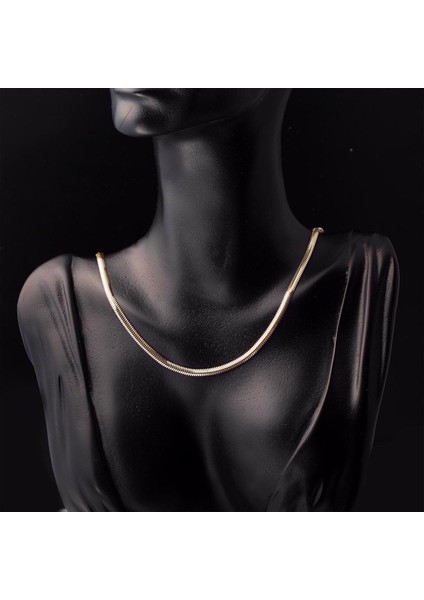 14 Ayar Balık Sırtı Altın Zincir Kolye 40 cm fiyatları