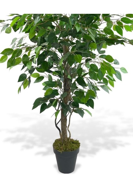 Yapay Ağaç Benjamin Yeşil Salex Dallı 110*70CM Siyah Plastik Saksılı