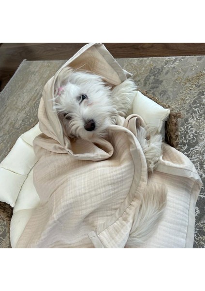 Kedi ve Köpek Evcil Hayvan Kurulama Havlusu 92X82 cm modelleri