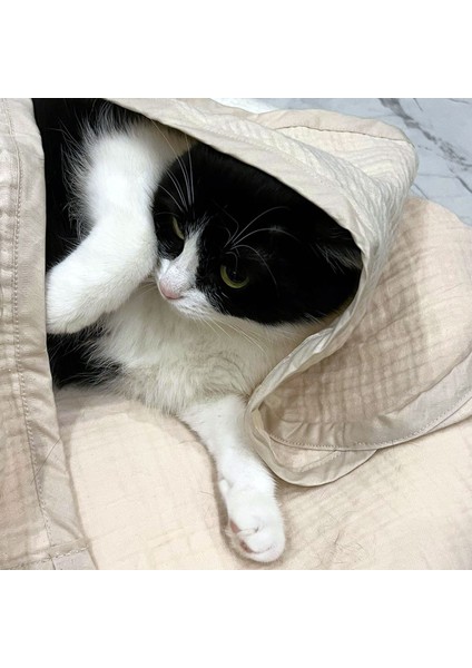 Kedi ve Köpek Evcil Hayvan Kurulama Havlusu 92X82 cm fırsatları