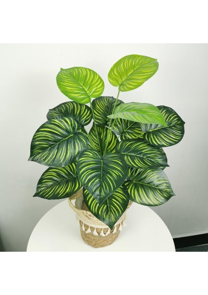 Yapay Çiçek Demet Difenbahya Sarı Çizgili 12DAL 55CM Salon Çiçeği Yapay Bitki