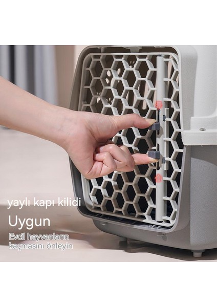 Taşınabilir Evcil Hayvan Hava Kutusu Onay Kutusu (Yurt Dışından) modelleri