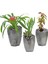 Saksı Çiçek Kaktüs Saksısı Lüx 15 cm Uzun Poly Desenli 3'lü Set Çiçeklik 1