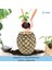 Saksı Çiçek Kaktüs Saksısı Lüx 15 cm Ananas Desenli 2'li Set Çiçeklik 4