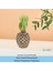 Saksı Çiçek Kaktüs Saksısı Lüx 15 cm Ananas Desenli 2'li Set Çiçeklik 5
