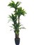 Yapay Ağaç Yukka Sarı Şeritli 4katlı 150CM Salon Çiçeği Yapay Çiçek 1