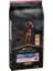 Adult Large Athlethic Somonlu Yetişkin Köpek Maması 14 kg 1