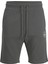 Standart Gri Erkek Şort 12228647_JPSTSHARK Sweat Shorts At 2