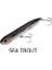 Heddon Chug N Spook Su Üstü Suni Yem Sea Trout 1