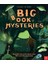 Big Book Of Mysteries 1